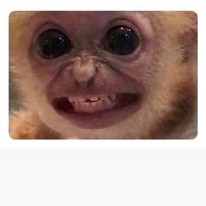 Meet your Posher, Everett